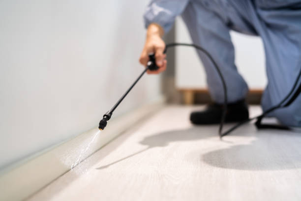 Certified termite inspector examining foundation in Gooding